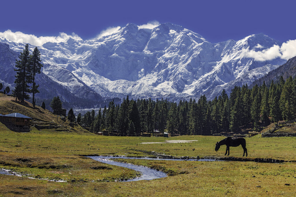 Nanga Parbat Base Camp Trek