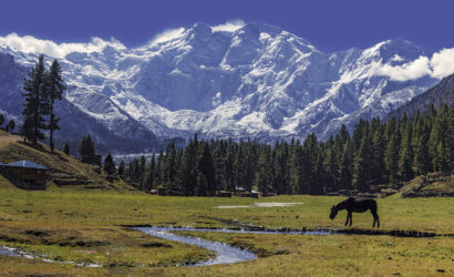 Nanga Parbat Base Camp Trek