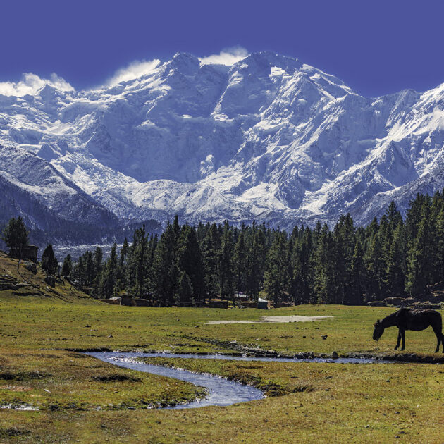 Nanga Parbat Base Camp Trek