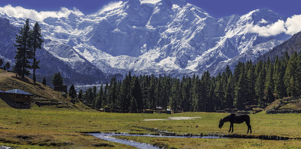 Nanga Parbat Base Camp Trek
