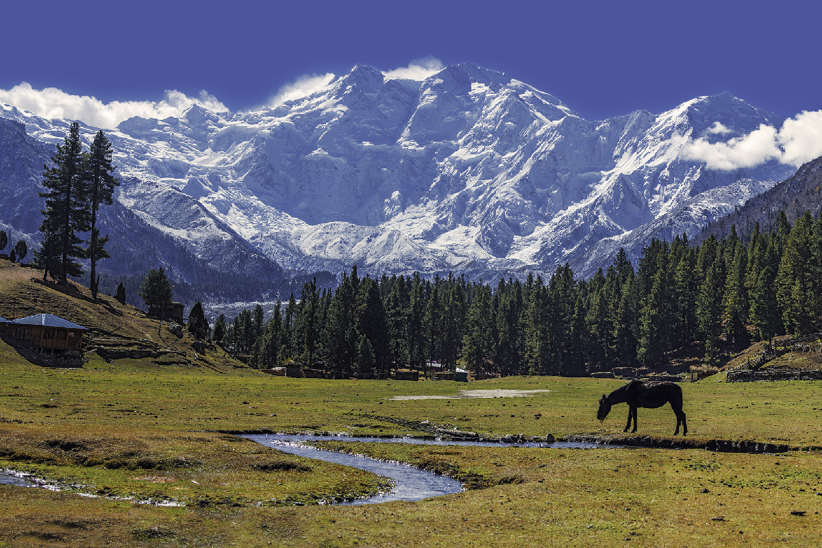 Nanga Parbat Base Camp Trek
